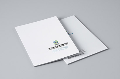 田阳县画册设计：以纸为媒，镌刻城市的精神图腾