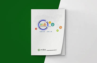 田阳县画册设计：以场景为媒，打造城市体验的全新入口